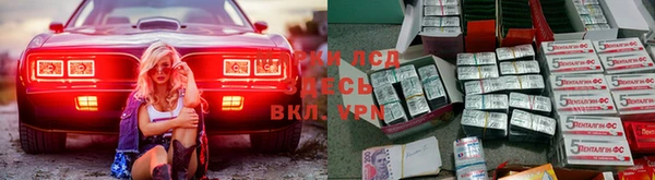 ПСИЛОЦИБИНОВЫЕ ГРИБЫ Аркадак