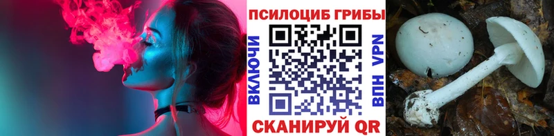 Псилоцибиновые грибы MAGIC MUSHROOMS  хочу   Валдай 