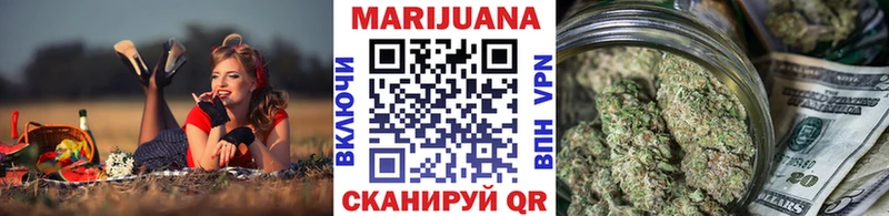 магазин продажи наркотиков  Валдай  Канабис план 